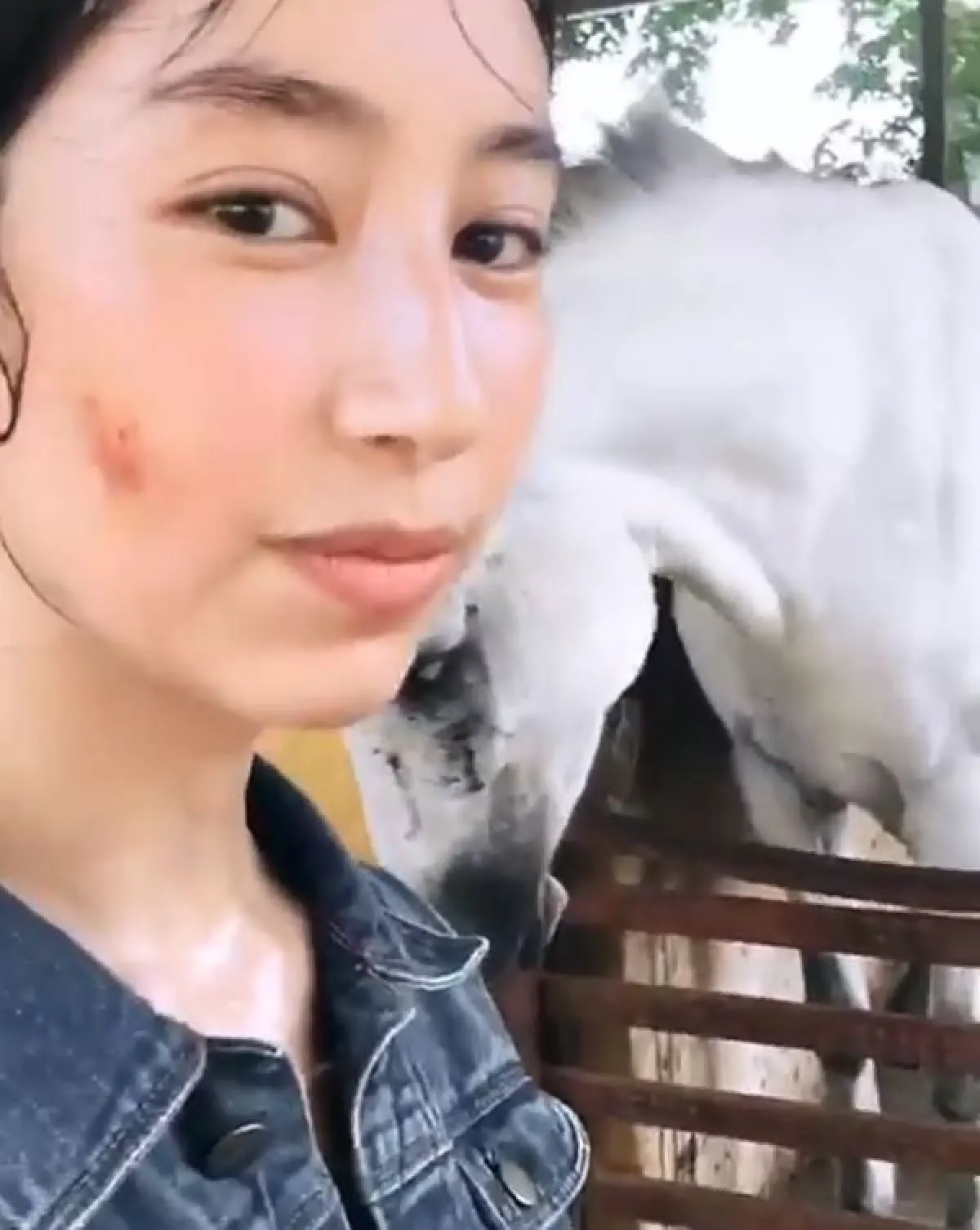 มิ้นต์ ชาลิดา โชว์รอยแผลข้างแก้ม หลังประสบอุบัติเหตุตกม้า