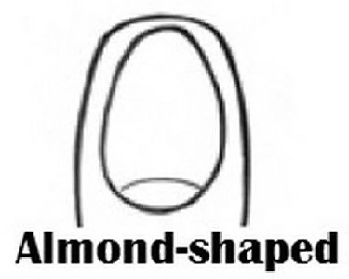 รู้หรือไม่ รูปทรงของเล็บสามารถบอกลักษณะนิสัยได้!