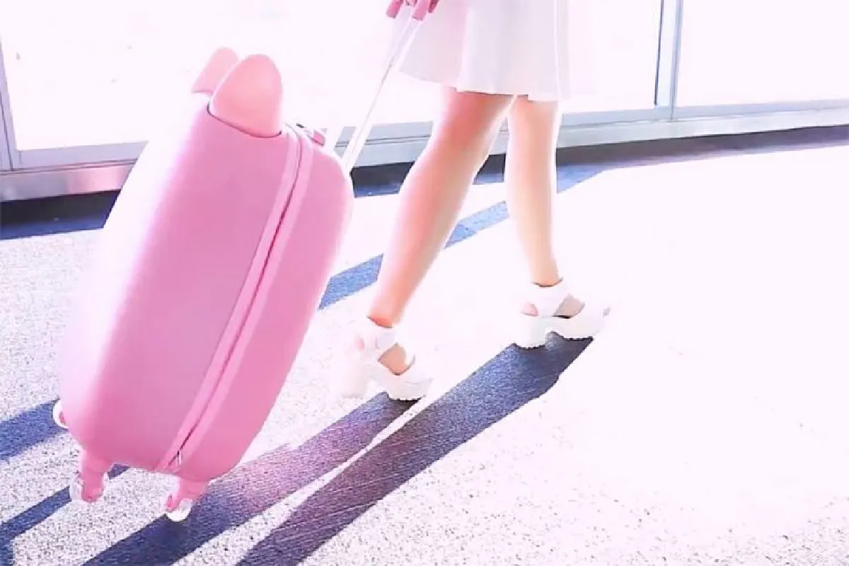 สวยสดใสอย่างน่าทึ่ง! กระเป๋าเดินทางมีชีวิต