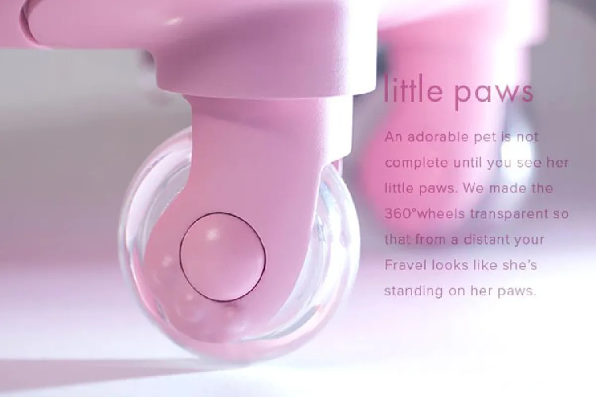 สวยสดใสอย่างน่าทึ่ง! กระเป๋าเดินทางมีชีวิต