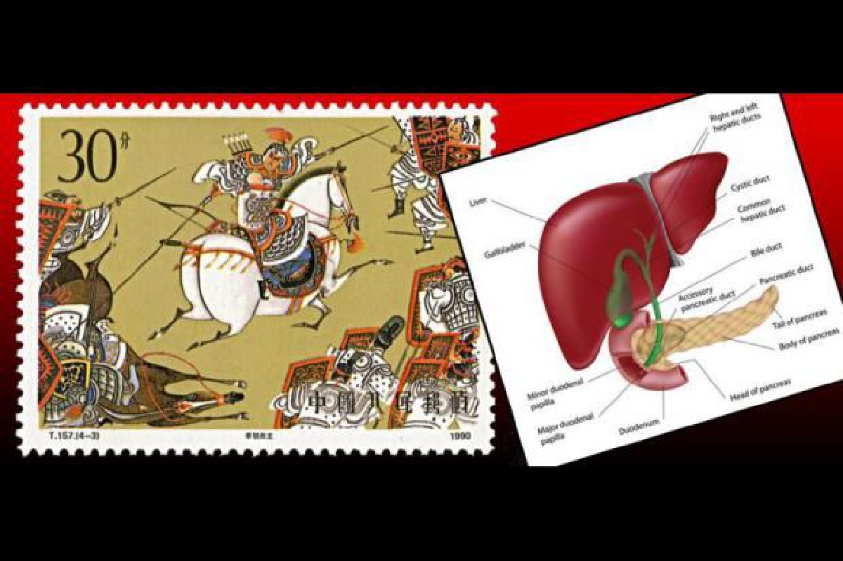 จูล่ง มีดีที่ตรงไหน จูล่ง มีดีที่ตรงไหน