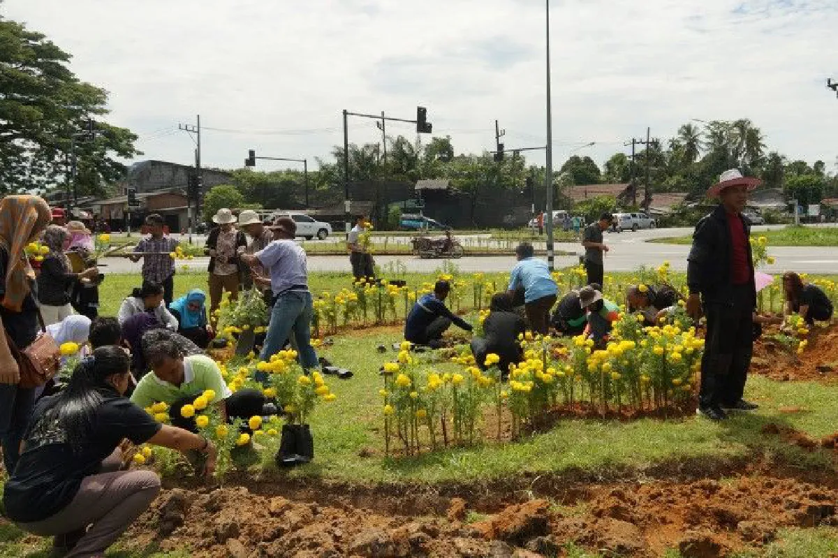 ดาวเรืองเหลืองอร่าม เคล็ดลับการดูแลให้บานทั้งแผ่นดิน