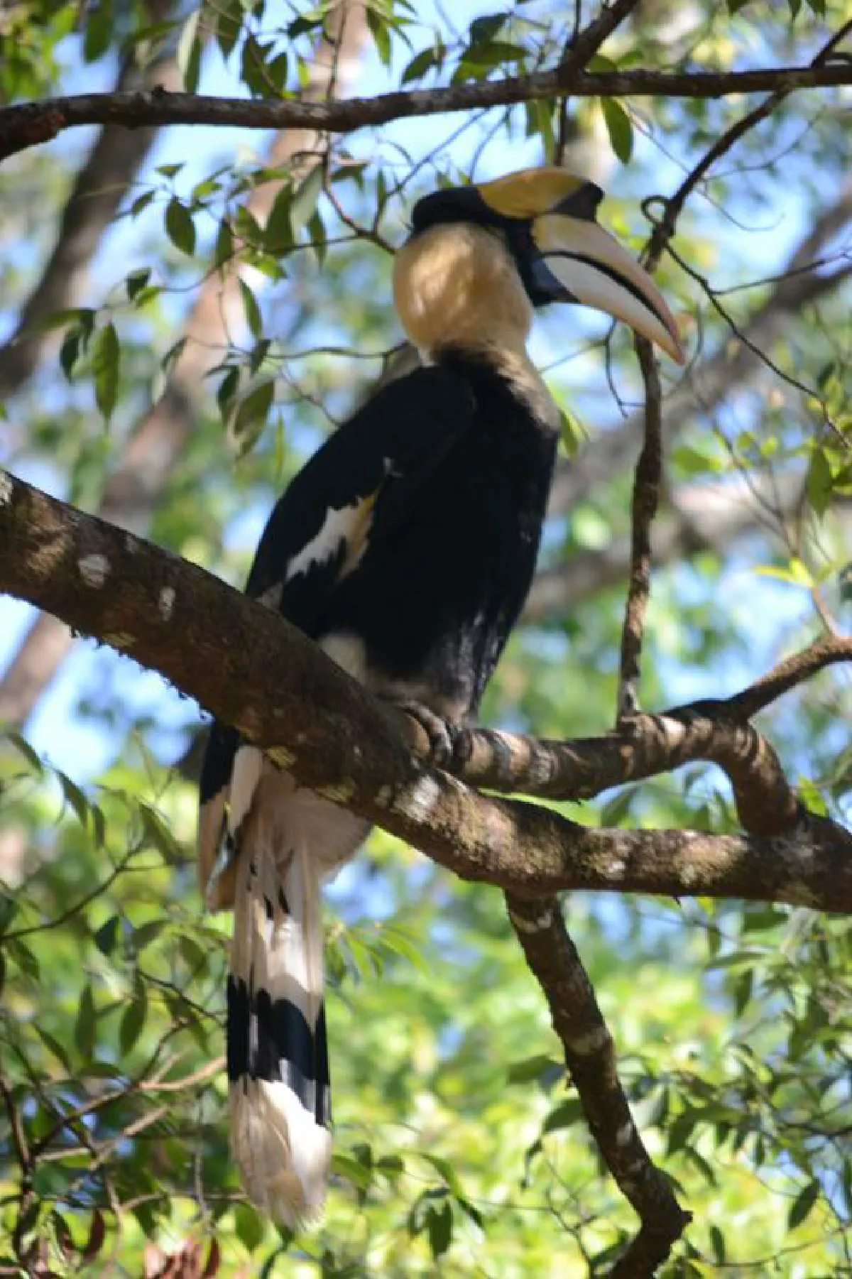 เขื่อนวชิราลงกรณ หัวใจ แห่งเมืองกาญจน์