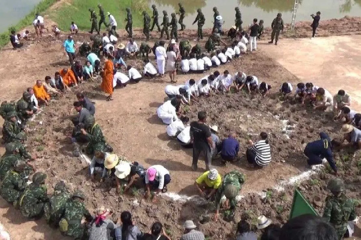 ดาวเรืองเหลืองอร่าม เคล็ดลับการดูแลให้บานทั้งแผ่นดิน