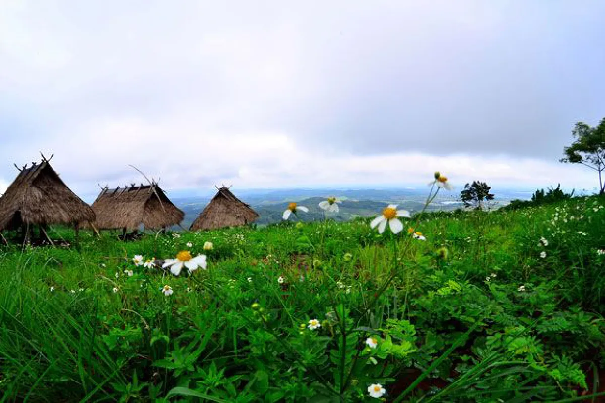 หนาวนี้เที่ยวเชียงรายตามรอยพ่อกับ 5 โครงการหลวง