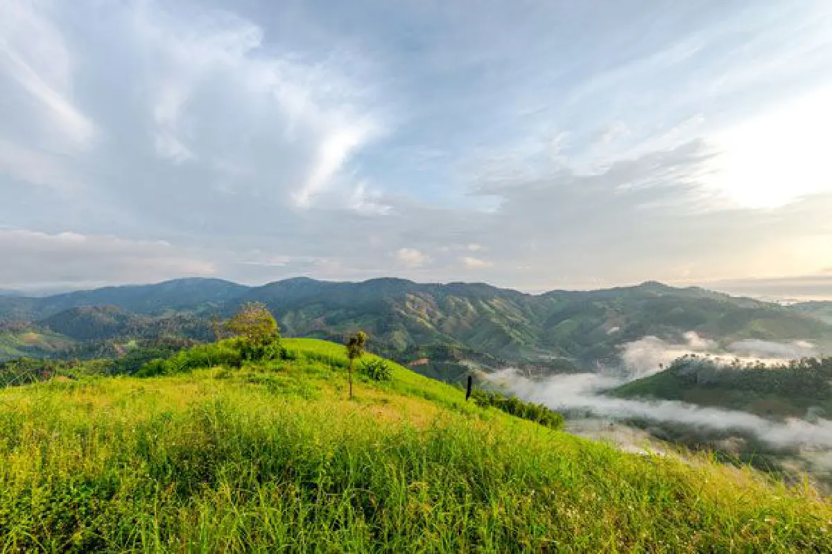 หนาวนี้เที่ยวเชียงรายตามรอยพ่อกับ 5 โครงการหลวง