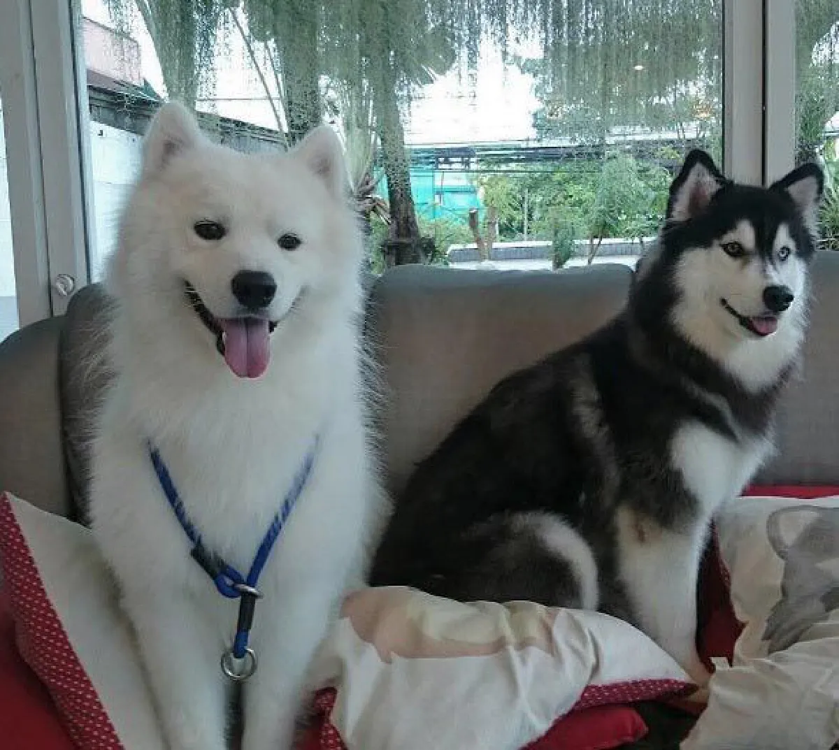 25 ภาพคฤหาสน์หรูแสนอบอุ่น ของ “บุ๋ม ปนัดดา”