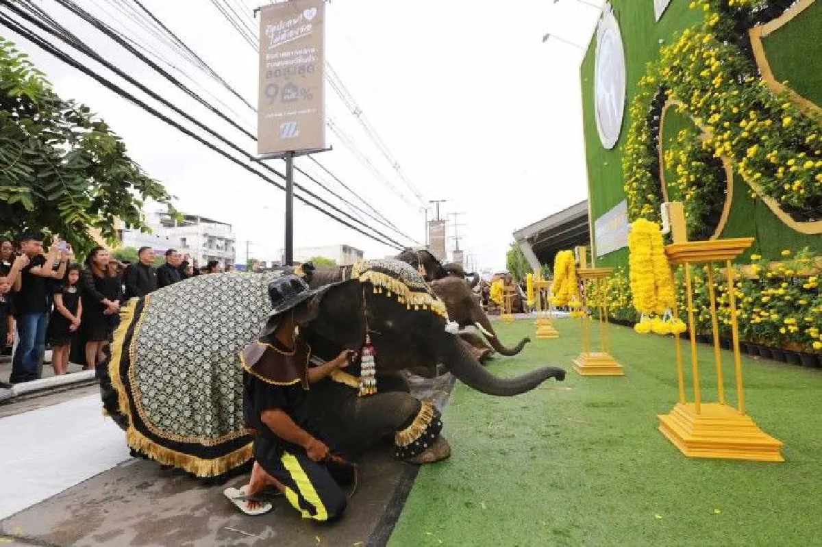 ทั่วไทยบำเพ็ญกุศลครบ1ปีวันสวรรคตในหลวงร.9