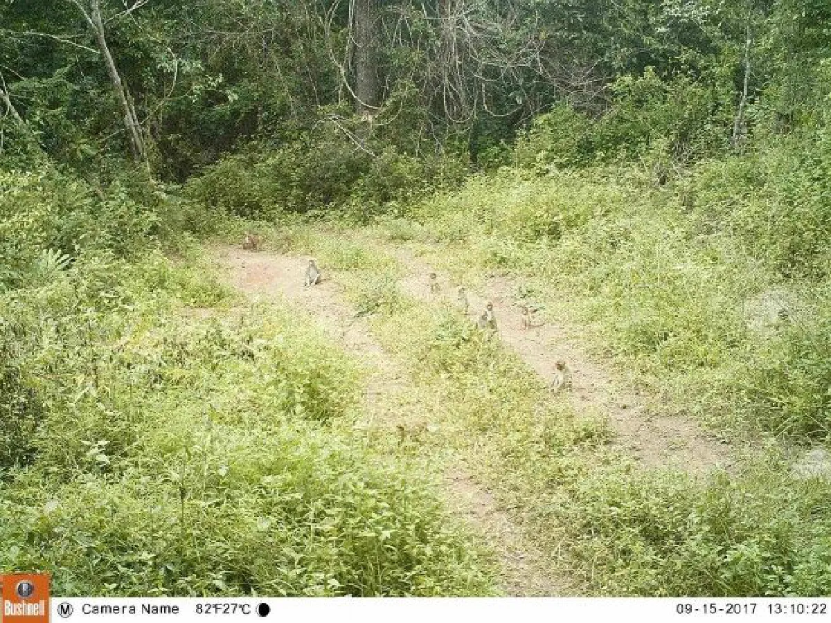 ความสมบูรณ์สัตว์ป่าในอุทยานแห่งชาติน้ำหนาว