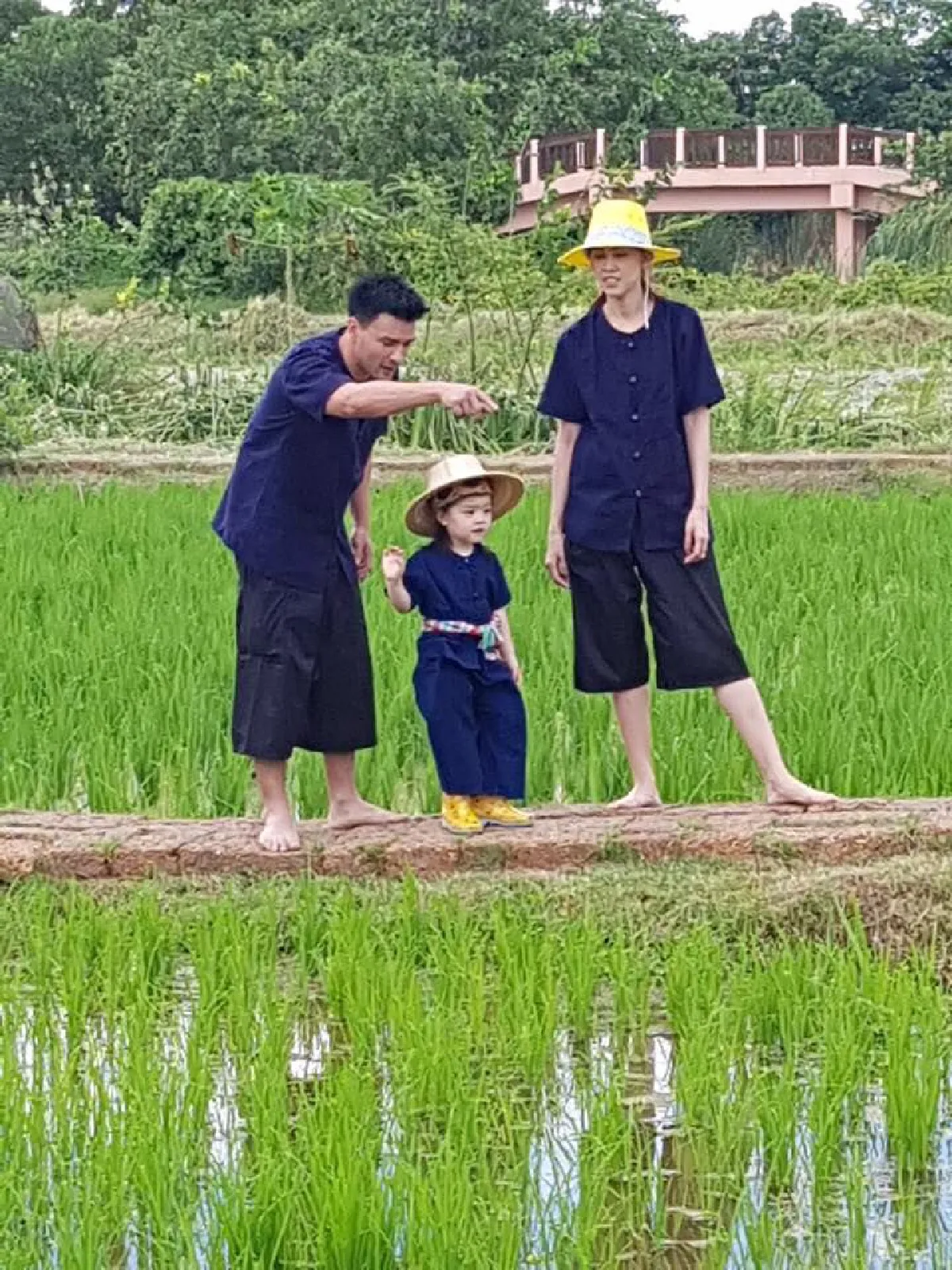 รวมภาพลูกดาราคนดัง ดำนาปลูกข้าว เรียนรู้การดำรงชีวิตในวิถีพอเพียง