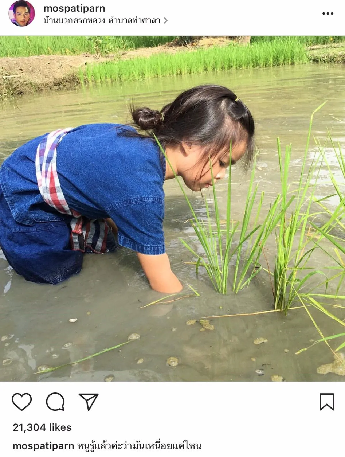 รวมภาพลูกดาราคนดัง ดำนาปลูกข้าว เรียนรู้การดำรงชีวิตในวิถีพอเพียง