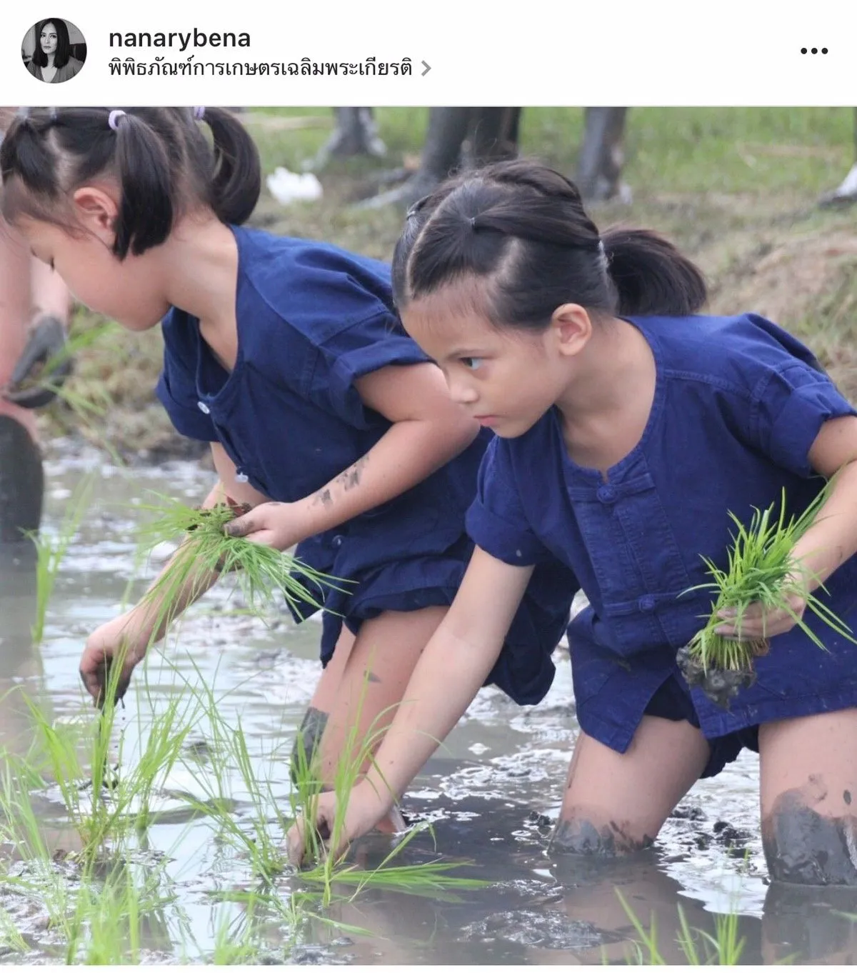 รวมภาพลูกดาราคนดัง ดำนาปลูกข้าว เรียนรู้การดำรงชีวิตในวิถีพอเพียง