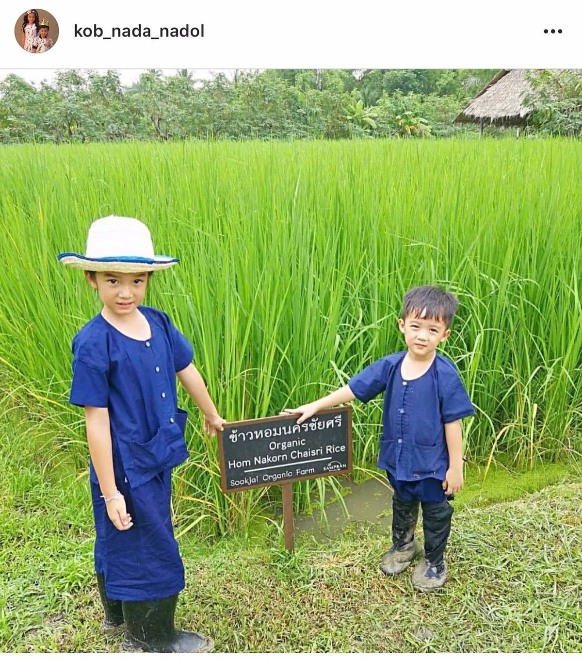 รวมภาพลูกดาราคนดัง ดำนาปลูกข้าว เรียนรู้การดำรงชีวิตในวิถีพอเพียง