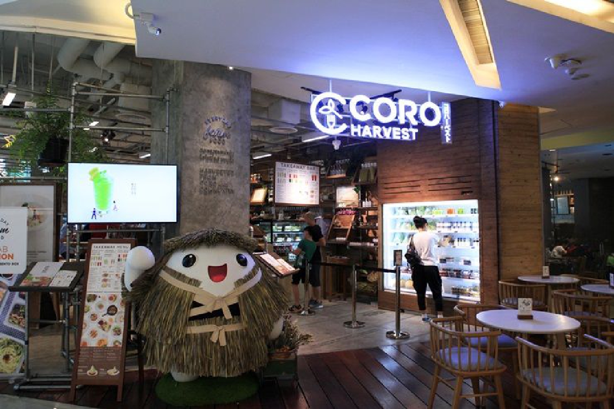 Coro Harvest สดจากฟาร์มออร์แกนิคราชบุรี Coro Harvest สดจากฟาร์มออร์แกนิคราชบุรี