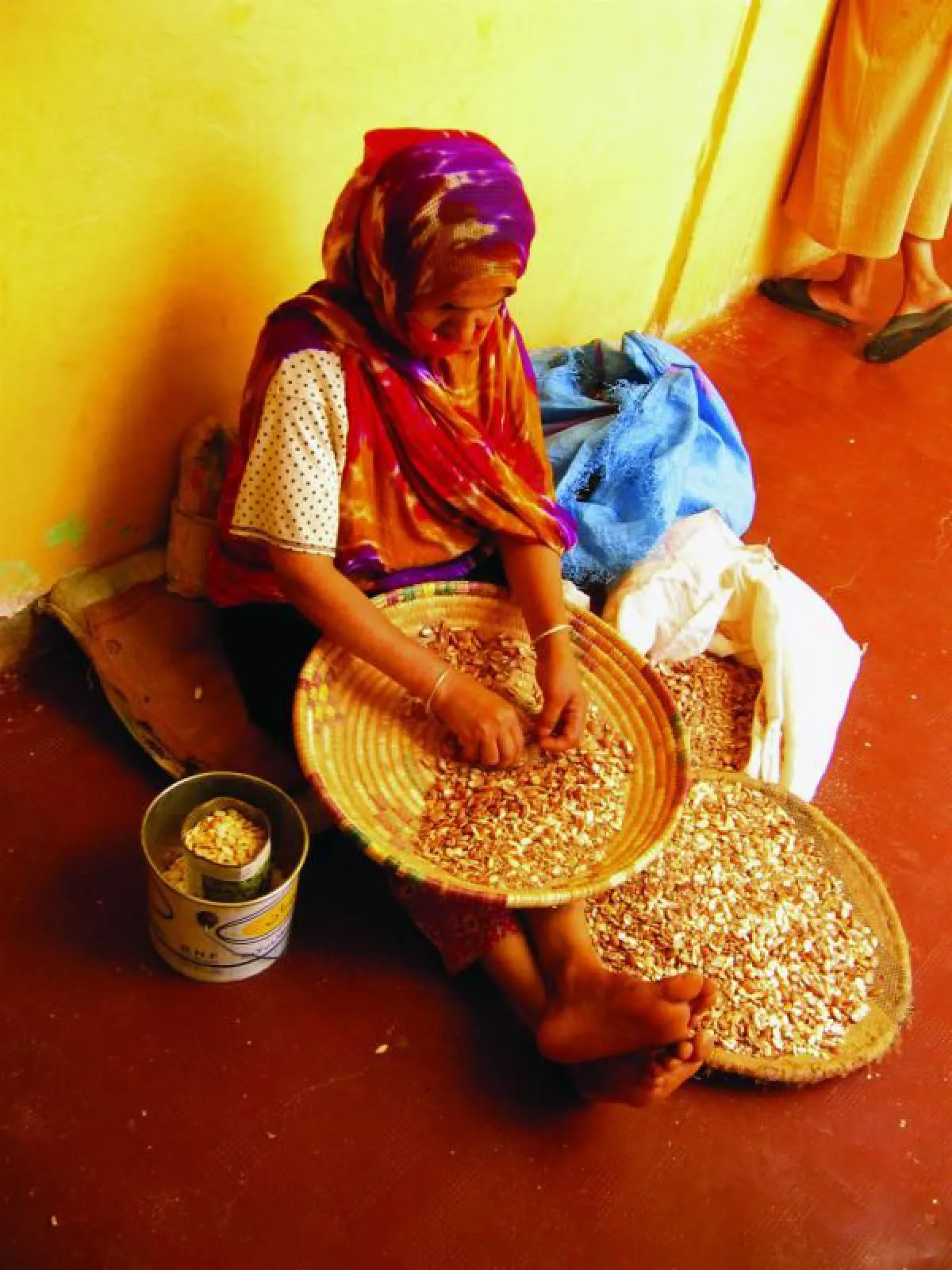 “อาร์แกน” น้ำมันแห่งความงามอันทรงคุณค่า