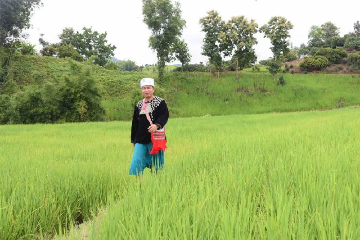 เศรษฐกิจพอเพียง ปรัชญาที่เปี่ยมด้วยความรัก สุพจน์ หลี่จา