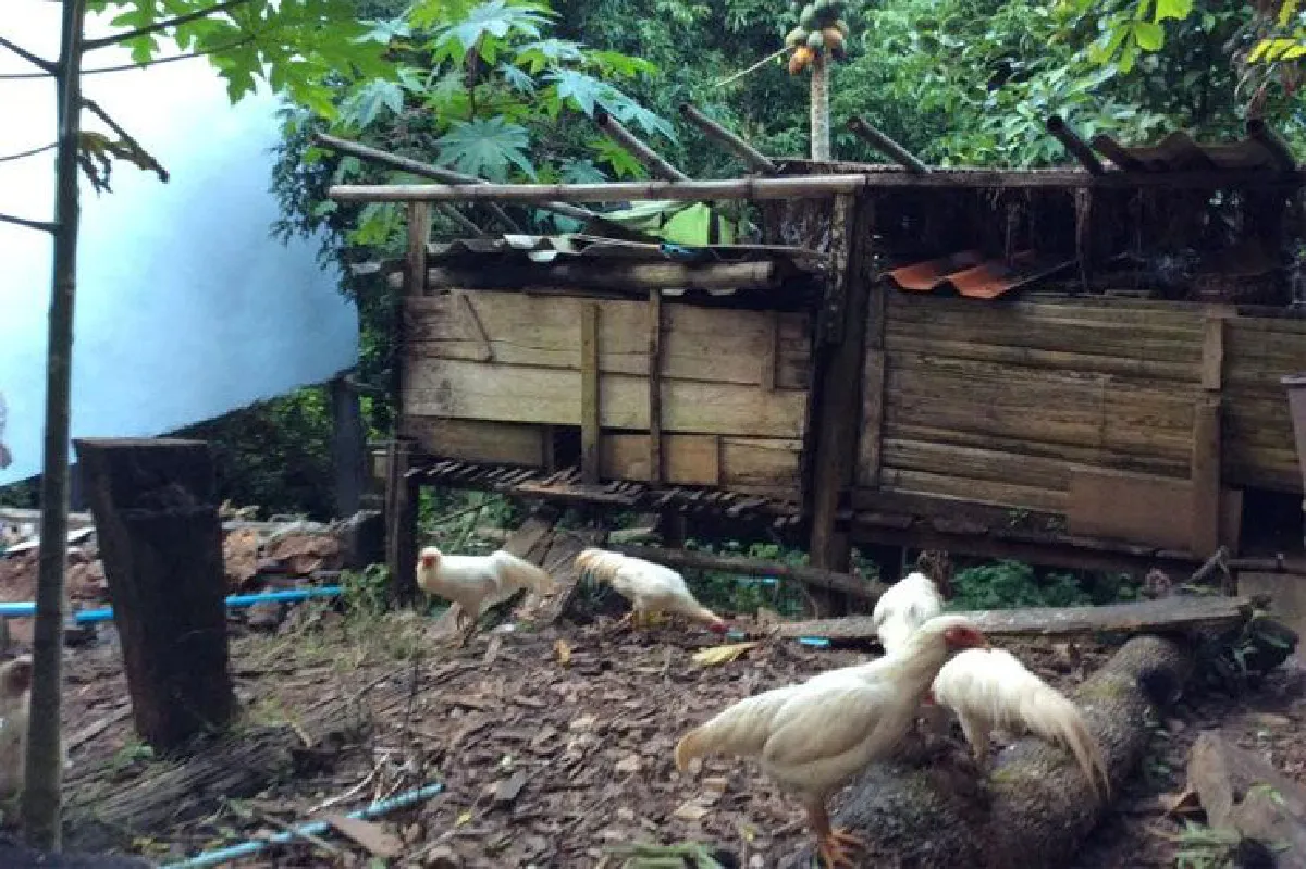 โฮมสเตย์พอเพียง อาข่าฮิลล์เฮ้าส์