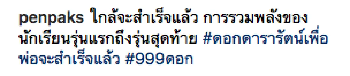5 เดือน กับการเป็นจิตอาสางานพระราชพิธี ของ “ต่าย เพ็ญพักตร์”