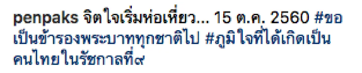 5 เดือน กับการเป็นจิตอาสางานพระราชพิธี ของ “ต่าย เพ็ญพักตร์”
