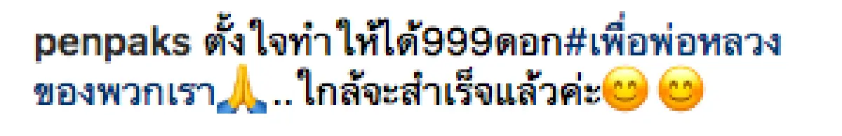 5 เดือน กับการเป็นจิตอาสางานพระราชพิธี ของ “ต่าย เพ็ญพักตร์”
