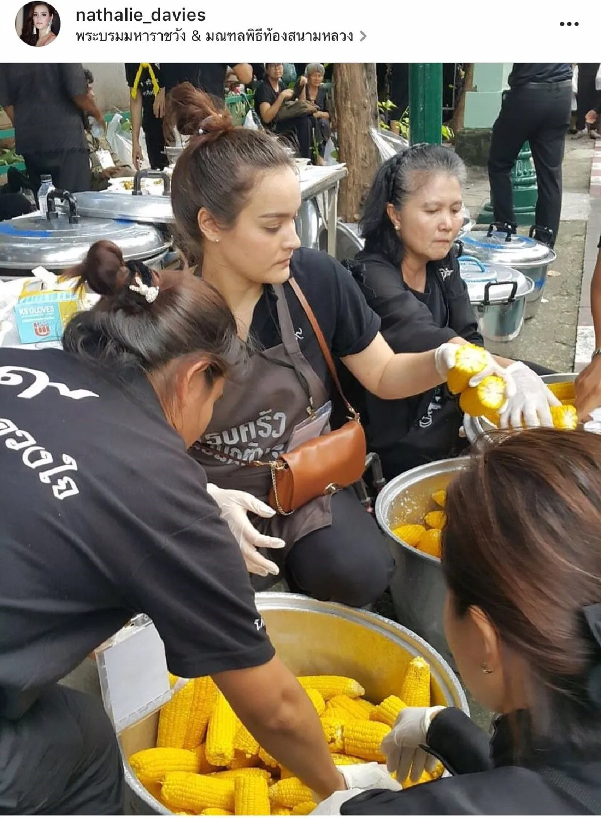 คนบันเทิงร่วมแสดงพลังเป็นจิตอาสาในวันพระราชพิธีฯ
