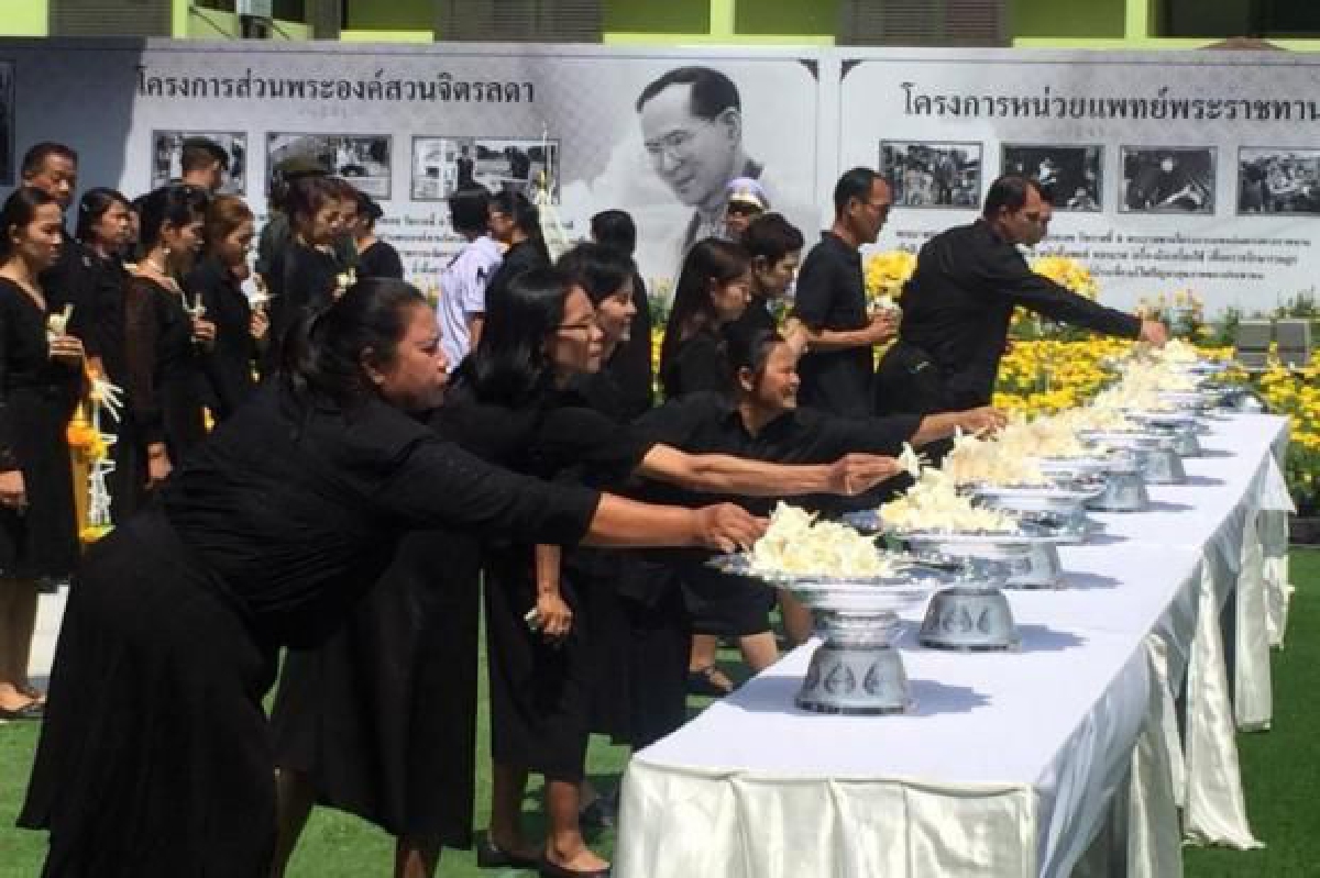รูป2 รูป2