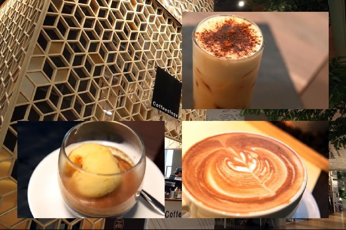 แวะ คอฟฟี่โอโลจี จิบกาแฟพันธุ์พื้นเมือง