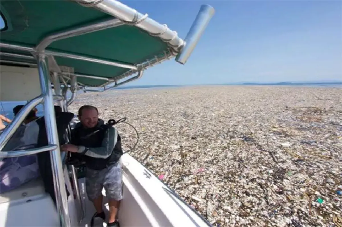 น้ำมือมนุษย์! ภาพสุดสะเทือนใจ เศษพลาสติกปกคลุมทั่วทะเลแคริบเบียน