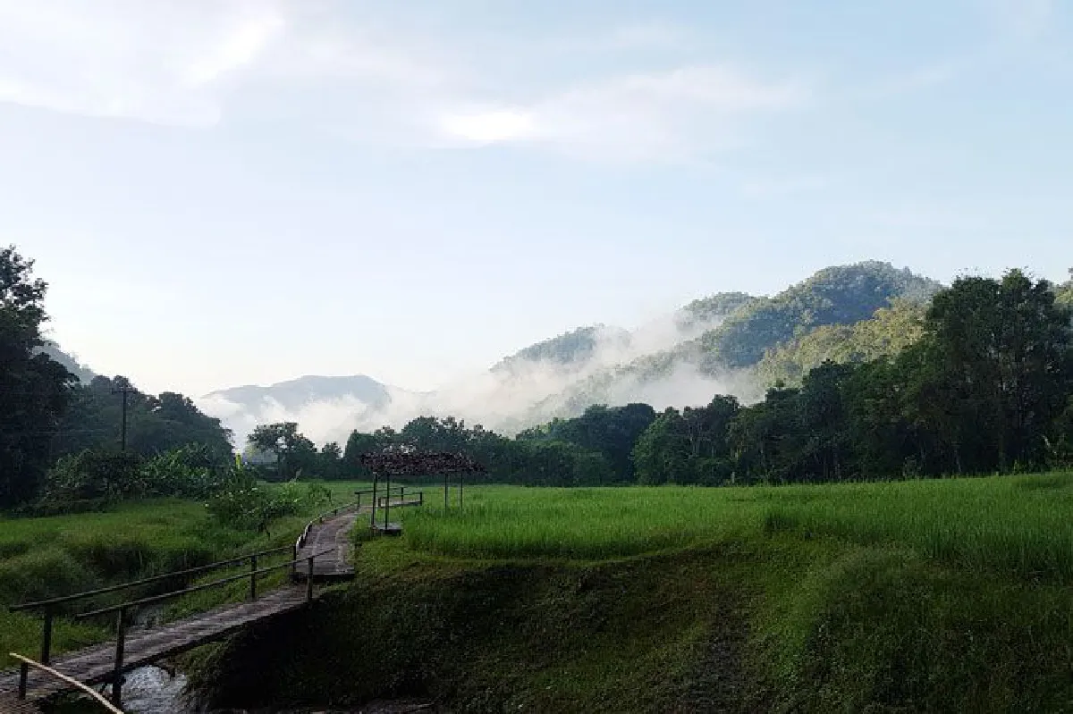 หอมกลิ่นข้าวคลุ้งกลิ่นดิน