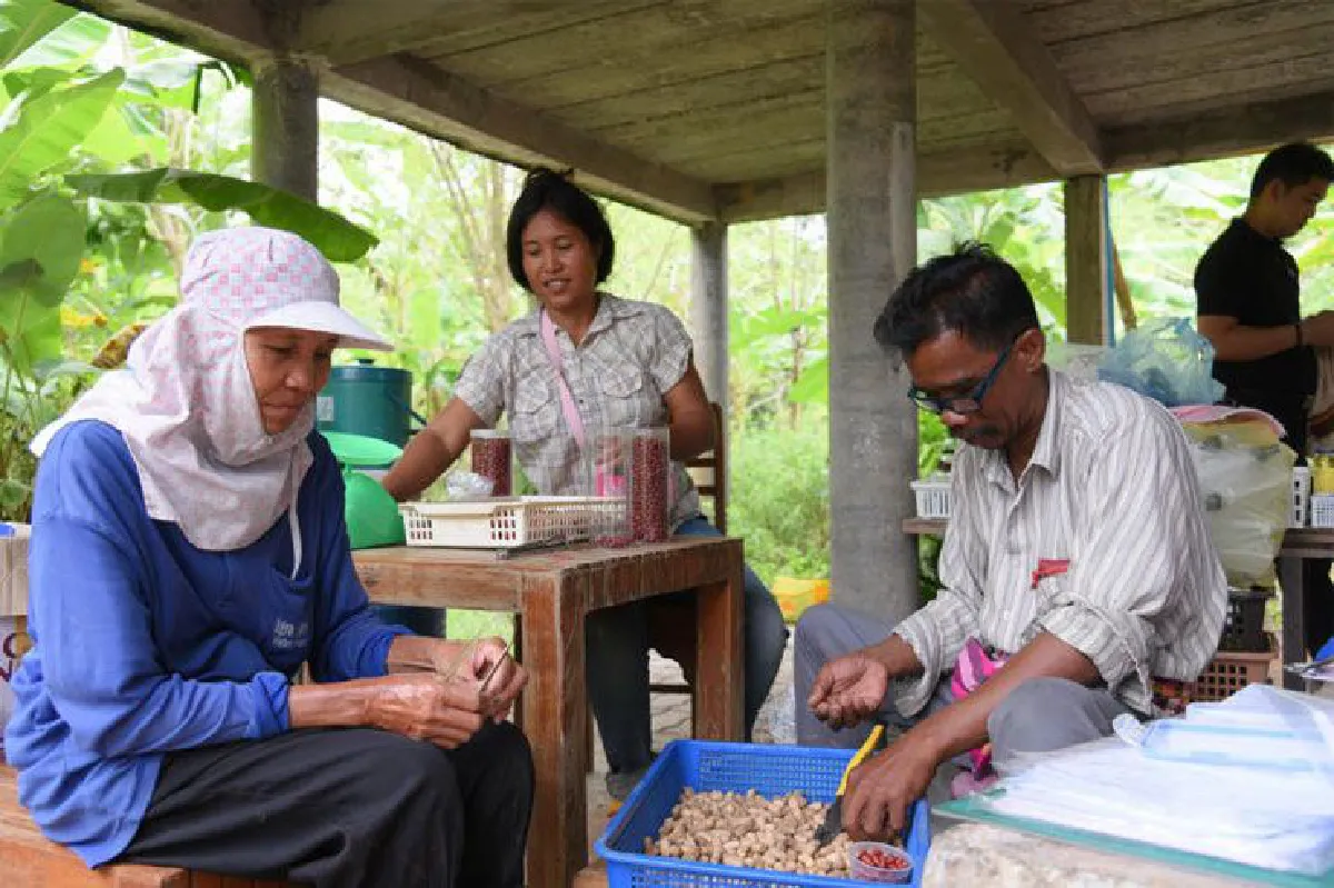 ‘เกษตรอินทรีย์ครบวงจร’
