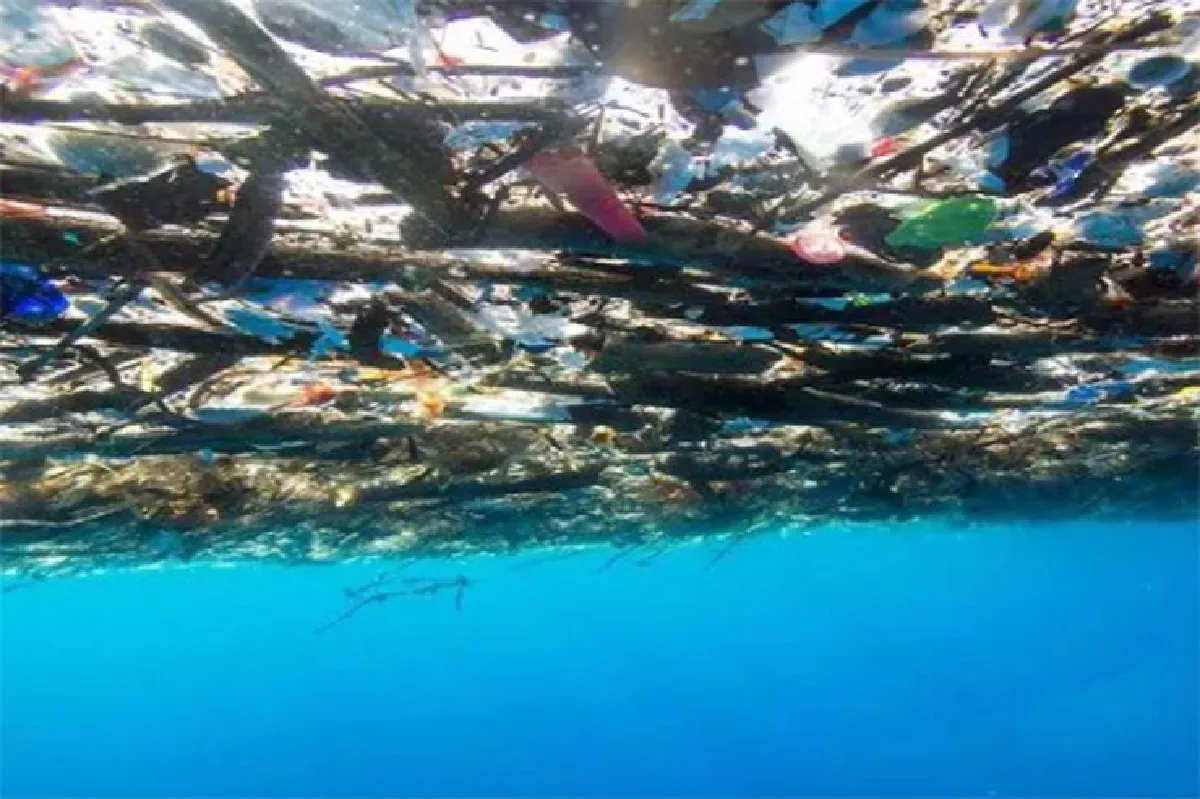 น้ำมือมนุษย์! ภาพสุดสะเทือนใจ เศษพลาสติกปกคลุมทั่วทะเลแคริบเบียน