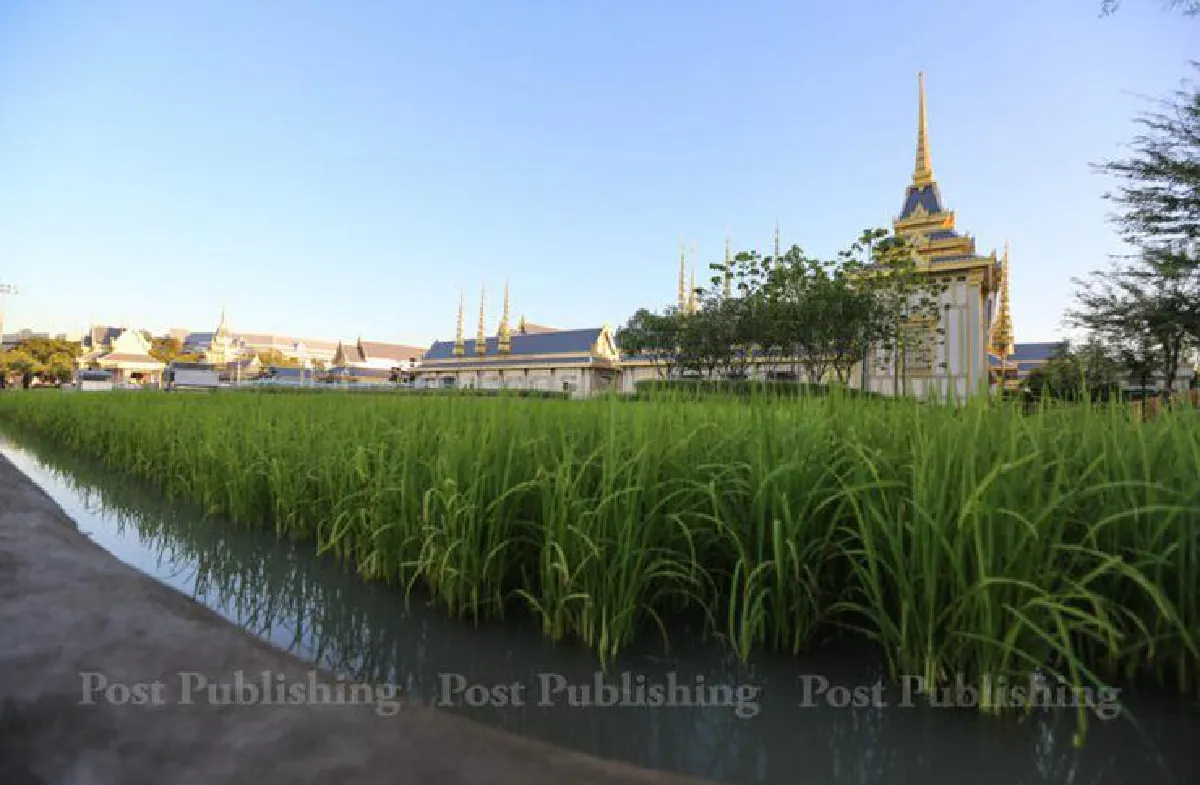 นิทรรศการพระเมรุมาศ น้อมรำลึกรัชกาลที่ 9