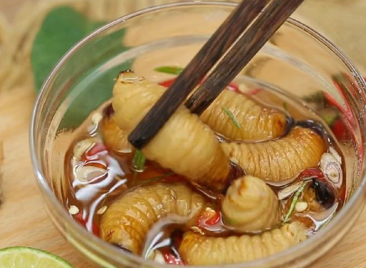 นักวิทยาศาสตร์ชี้หนอนด้วงมะพร้าวกินได้ แต่ต้องปรุงสุก นักวิทยาศาสตร์ชี้หนอนด้วงมะพร้าวกินได้ แต่ต้องปรุงสุก
