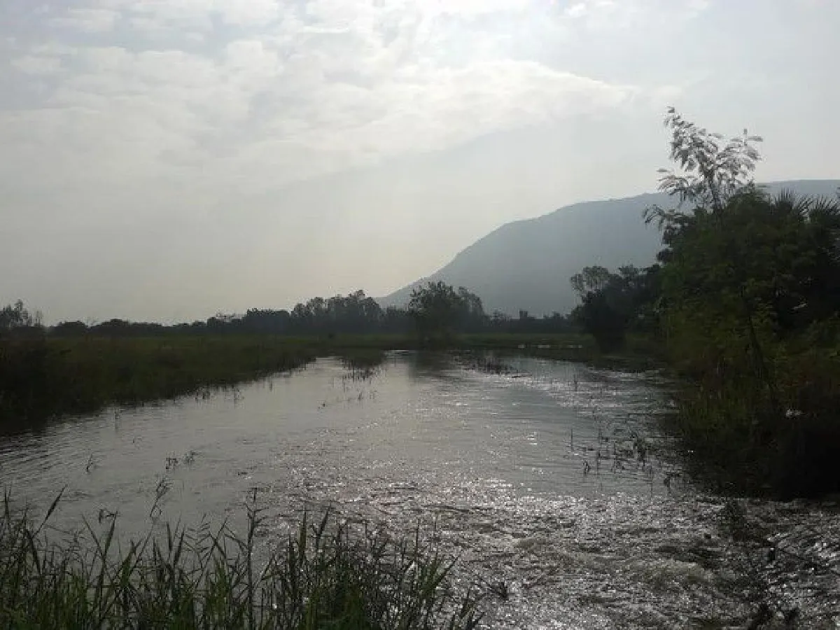 ลดความเสียหายจากน้ำท่วมได้จริง! เมื่อหญิงชาวนาทดลองทำแก้มลิงตามแนวพระราชดำริ