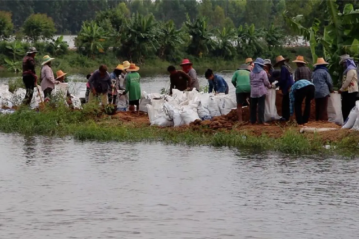 น้ำชีหนุนสูงชาวบ้านรวมพลังสร้างกระสอบทรายกั้น