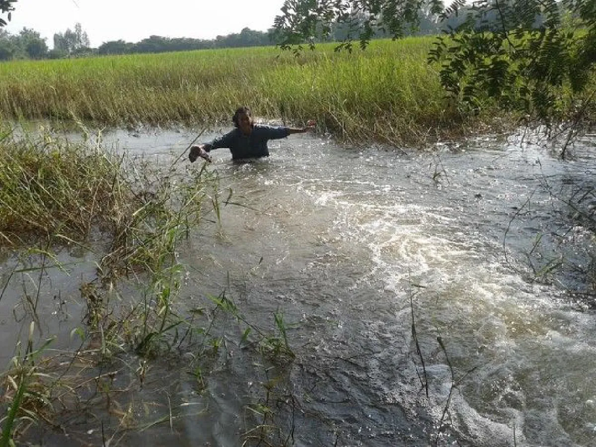 ลดความเสียหายจากน้ำท่วมได้จริง! เมื่อหญิงชาวนาทดลองทำแก้มลิงตามแนวพระราชดำริ