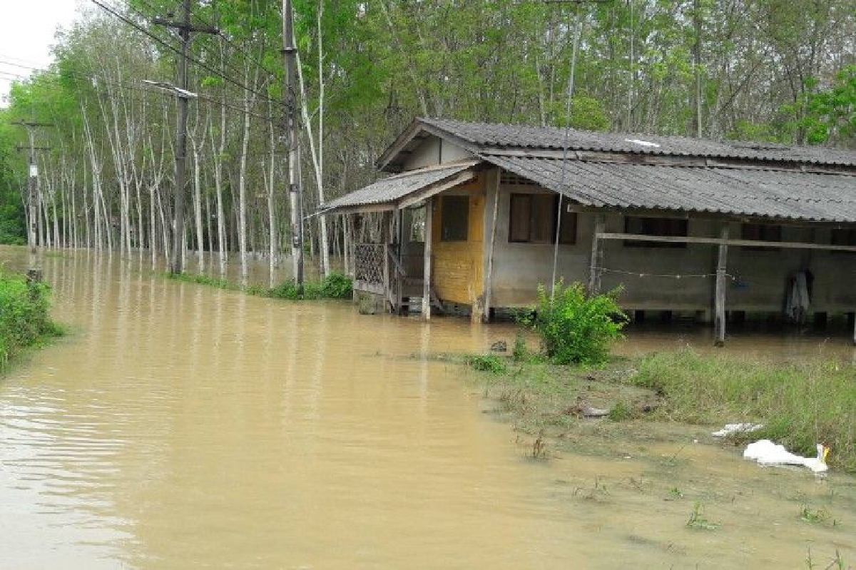 ครม.ไฟเขียวพักชำระหนี้เกษตรกรเจอน้ำท่วม ครม.ไฟเขียวพักชำระหนี้เกษตรกรเจอน้ำท่วม