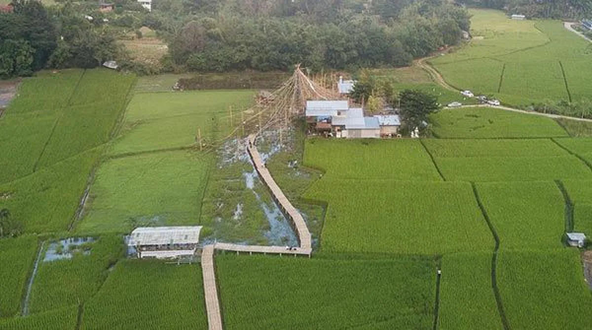 เป๊ก-นิว เข้าพิธีหมั้นสไตล์ล้านนา ท่ามกลางท้องทุ่งที่เชียงใหม่