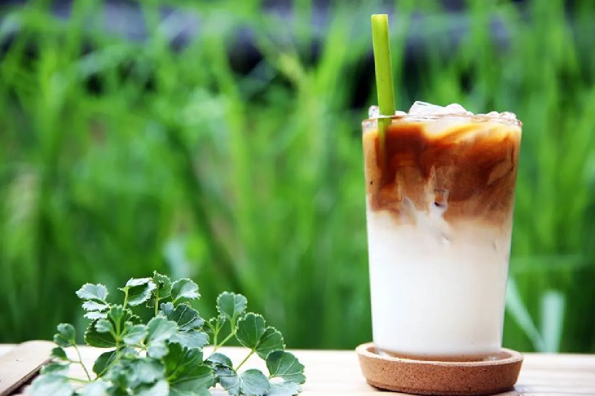 เกษตรอินทรีย์ จุดเริ่มต้นสุขภาพดี