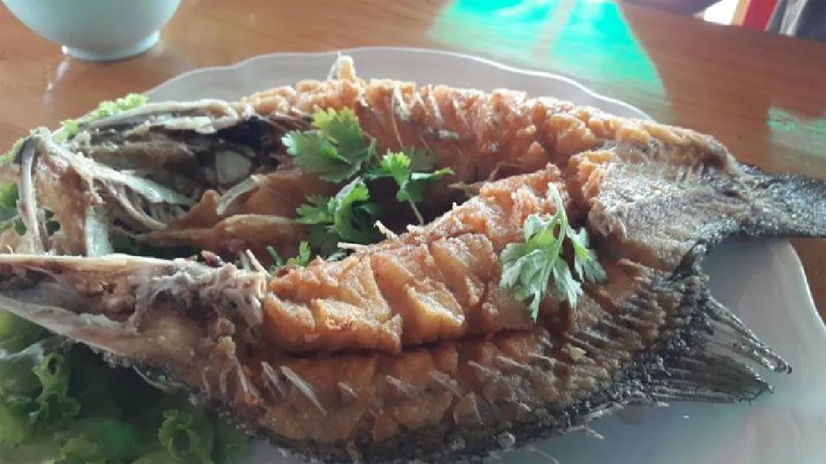 ร้านคุ้นลิ้น ปากอ่าว