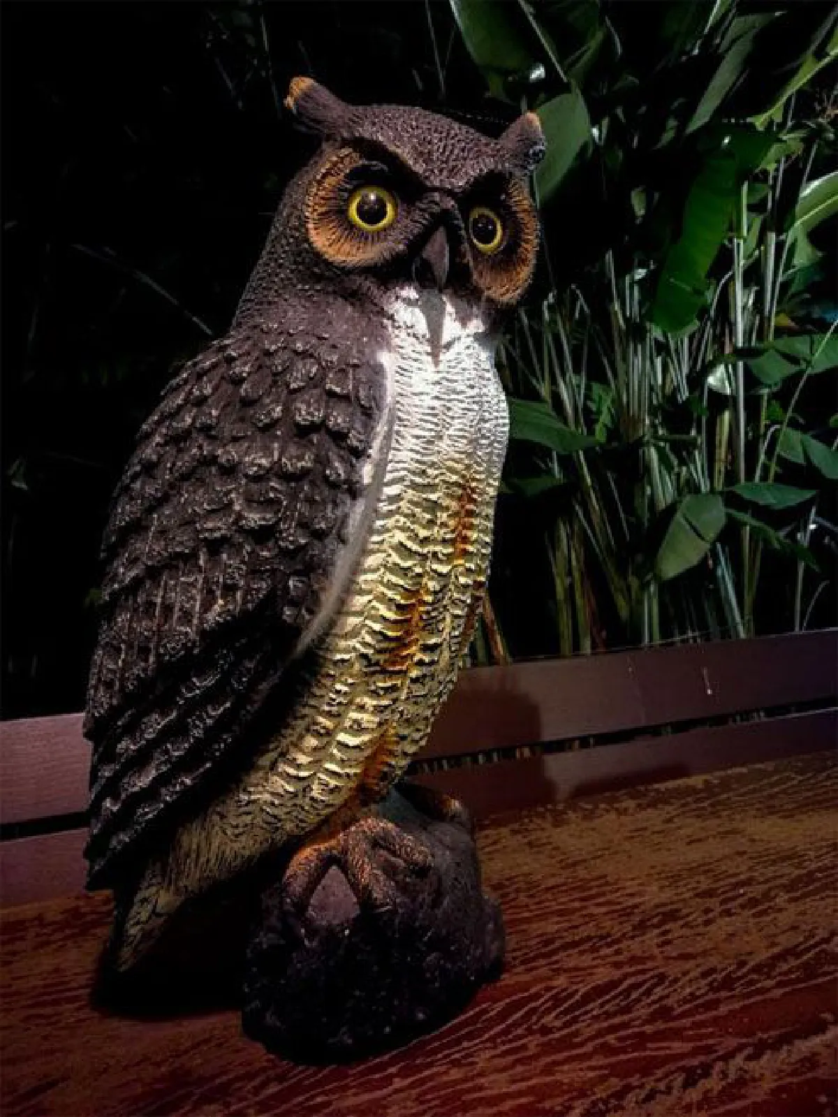 ดีคอย คอยดี