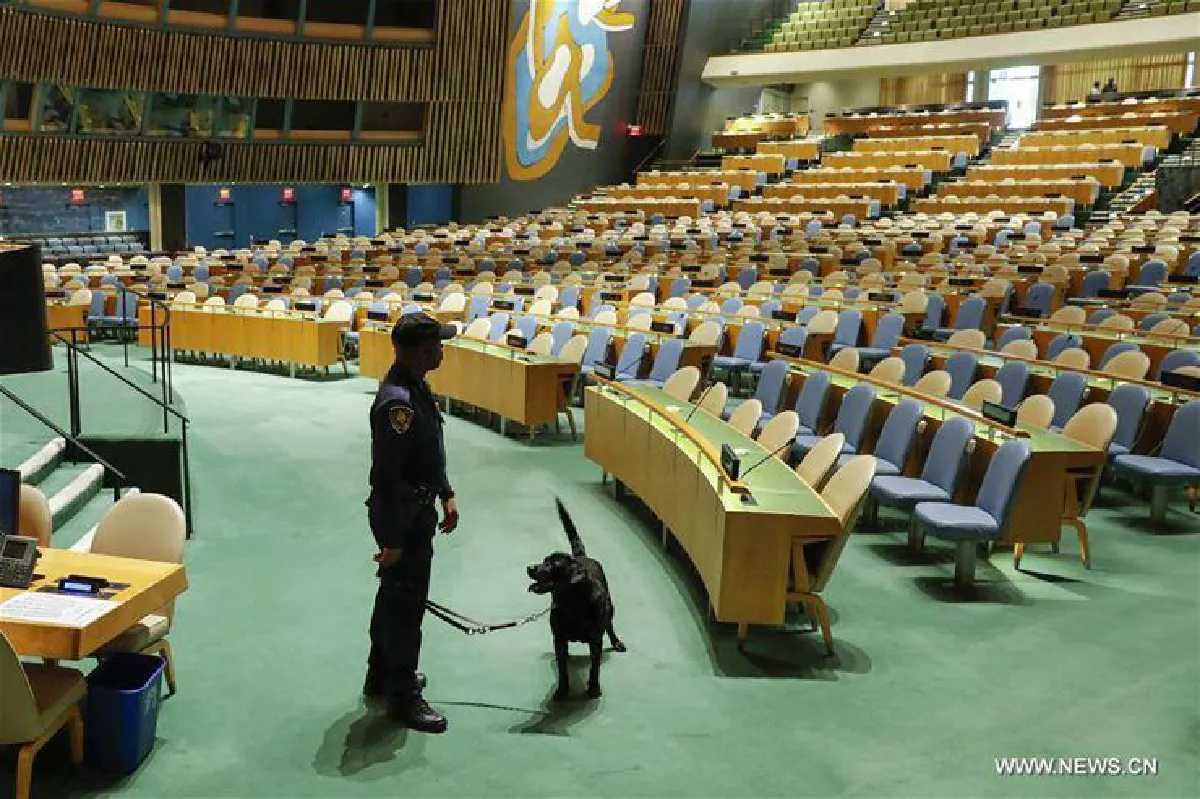 ผู้พิทักษ์สี่ขา! เผยภาพสุนัขรักษาความปลอดภัยหน่วย K-9 แห่งยูเอ็น