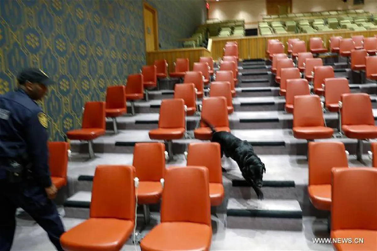 ผู้พิทักษ์สี่ขา! เผยภาพสุนัขรักษาความปลอดภัยหน่วย K-9 แห่งยูเอ็น