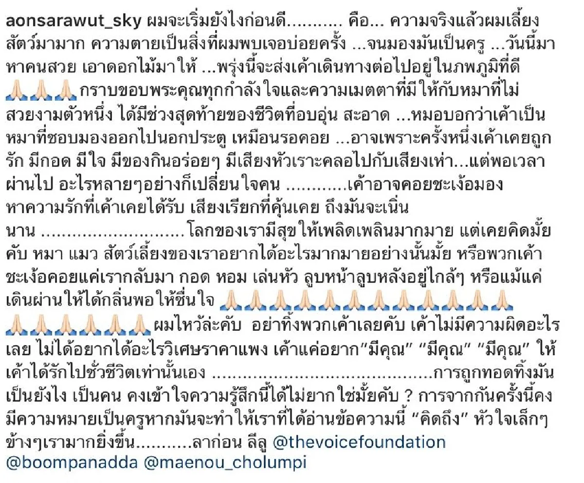 รักษาจนวินาทีสุดท้าย! “อ้น สราวุธ” เศร้า “น้องลีลู” สุนัขที่รับมาอุปการะเลี้ยงดู เสียชีวิต