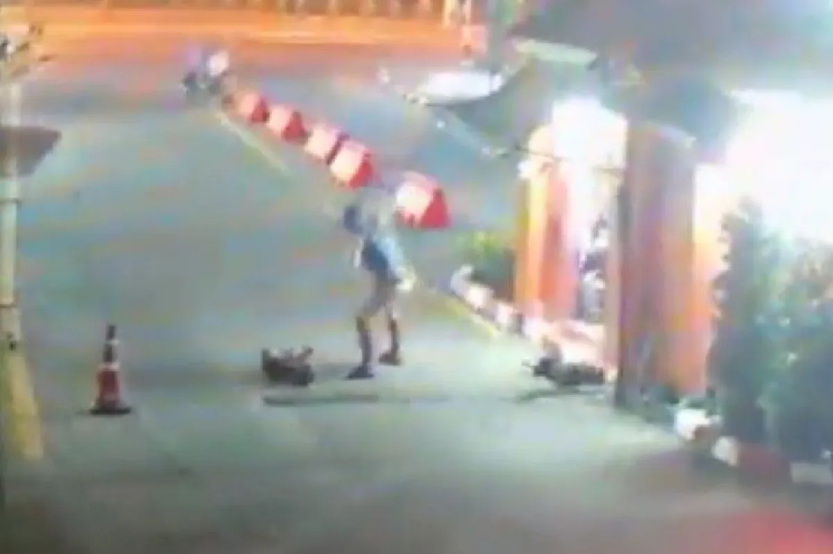 หนุ่มใหญ่ใช้ไม้ตี "สุนัข 2 ตัว" ตายจมกองเลือด