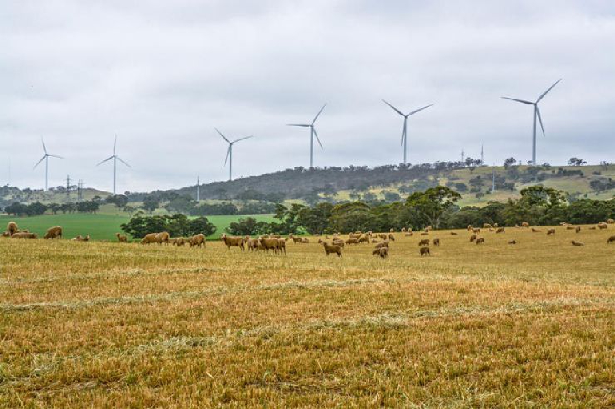 ไม่ใช่แค่สวย แต่ยังรวยด้วยแร่