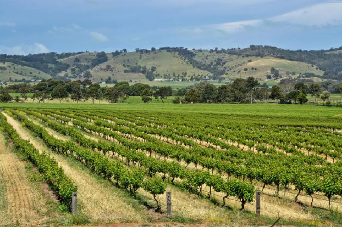 ไม่ใช่แค่สวย แต่ยังรวยด้วยแร่