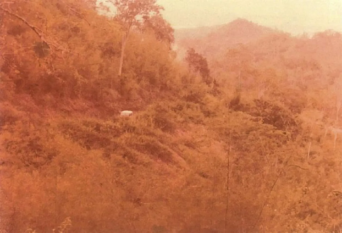 อยู่กับมือปืน (2)