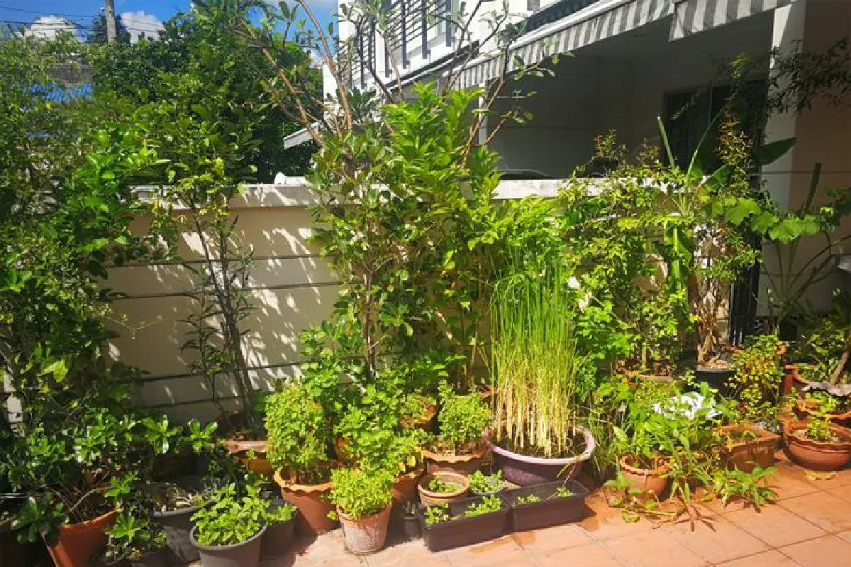 ธุวชิต วิไลโอฬาร สุขใจที่ได้อยู่ท่ามกลางต้นไม้สีเขียว