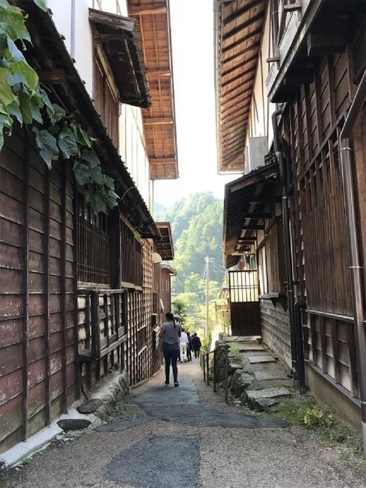 ไปนอนดูดาวที่ญี่ปุ่น 2